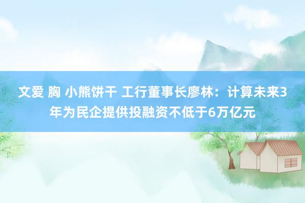 文爱 胸 小熊饼干 工行董事长廖林：计算未来3年为民企提供投融资不低于6万亿元