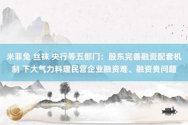 米菲兔 丝袜 央行等五部门：股东完善融资配套机制 下大气力料理民营企业融资难、融资贵问题