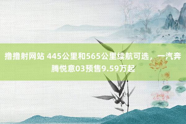 撸撸射网站 445公里和565公里续航可选，一汽奔腾悦意03预售9.59万起