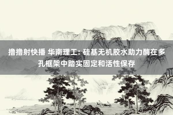 撸撸射快播 华南理工: 硅基无机胶水助力酶在多孔框架中踏实固定和活性保存