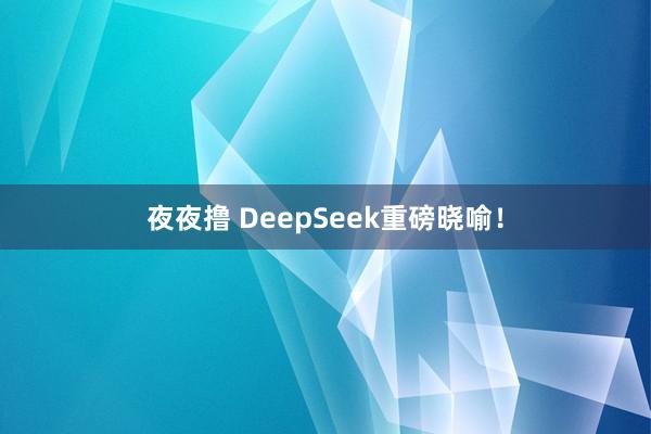 夜夜撸 DeepSeek重磅晓喻！