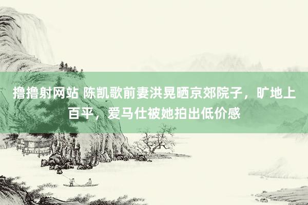 撸撸射网站 陈凯歌前妻洪晃晒京郊院子，旷地上百平，爱马仕被她拍出低价感